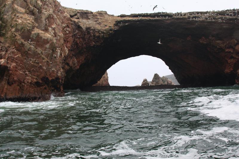 1135-Isole Ballestas,19 luglio 2013.JPG